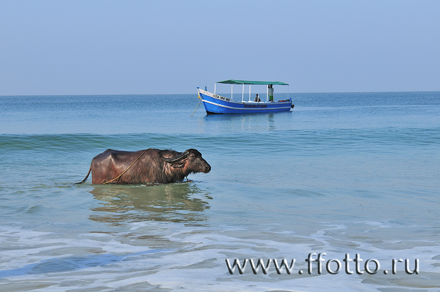 как фотографировать в поездке экзотические страны фото