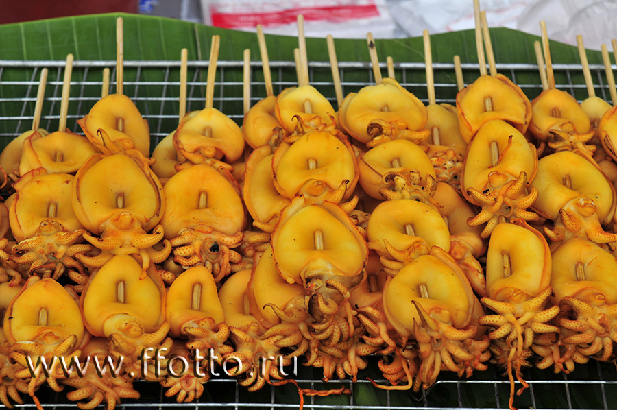 советы по фотографии